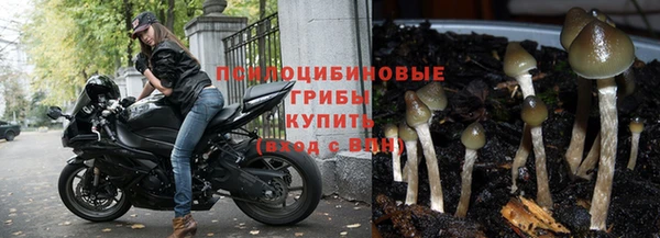 твердый Беломорск
