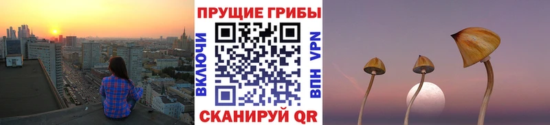 Галлюциногенные грибы Magic Shrooms  hydra ТОР  Калининец 