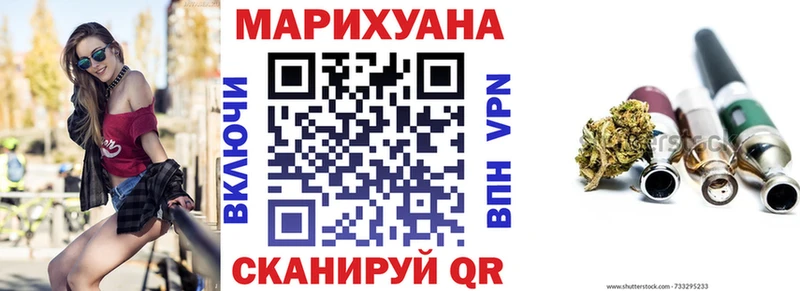 Каннабис гибрид  Калининец 